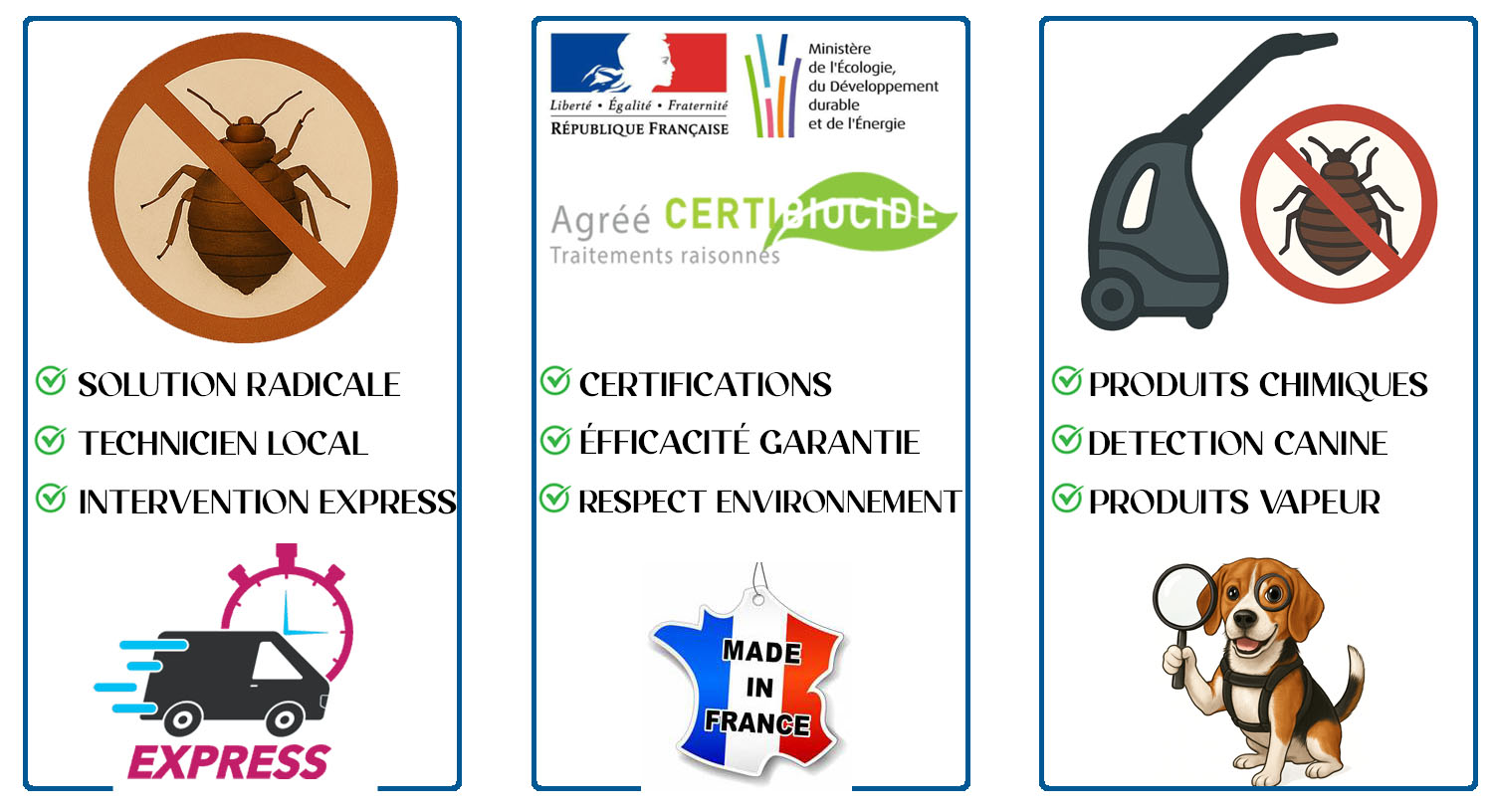 Punaises de Lit Courbevoie